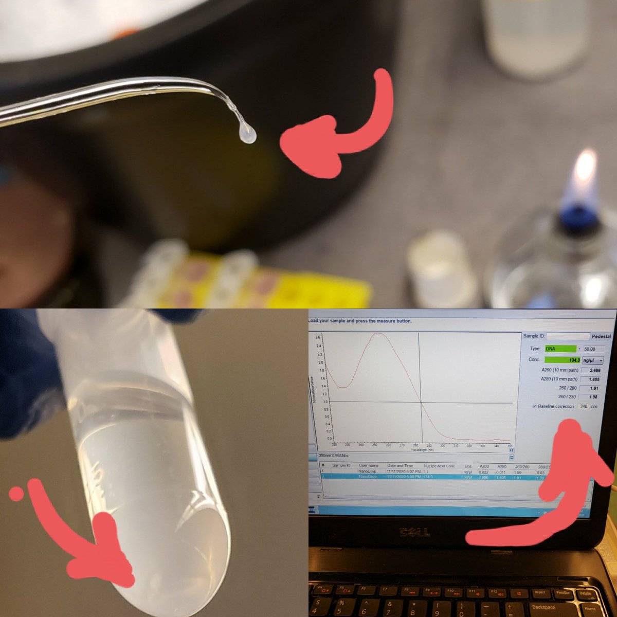 stevenhggns's tweet photo. My new favorite thing is spooling bacterial DNA to retrieve high molec. weight DNA for nanopore sequencing. Its not just for banana DNA extraction demos anymore! ๐ Opaque liquid bead (top) is spooled on glass pasteur pipette. #prettyslick https://t.co/ic6Uj1QFqo