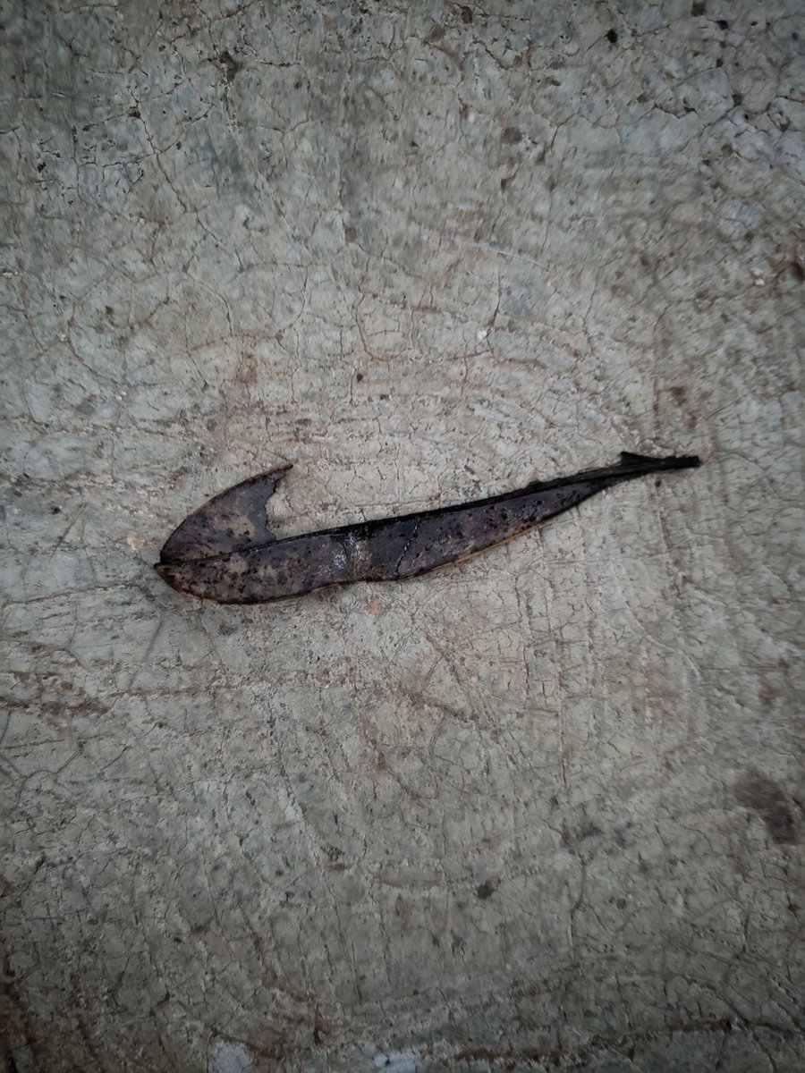 abusec tweet picture
