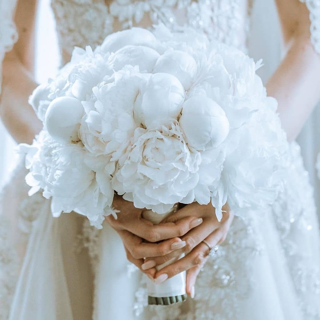 sacksprods's tweet photo. 📸: @butterflyfloral
There is something magical about a bouquet of peonies 🦋
Floral: @butterflyfloral
Planner: @delicatedetails
Photo: @jessicaclaire
.
.
.
#sacksproductions #receptiondecor #tabledecor #tabledesign #weddingrecption #luxurywedding #wedding… https://t.co/4JQJACsGZX