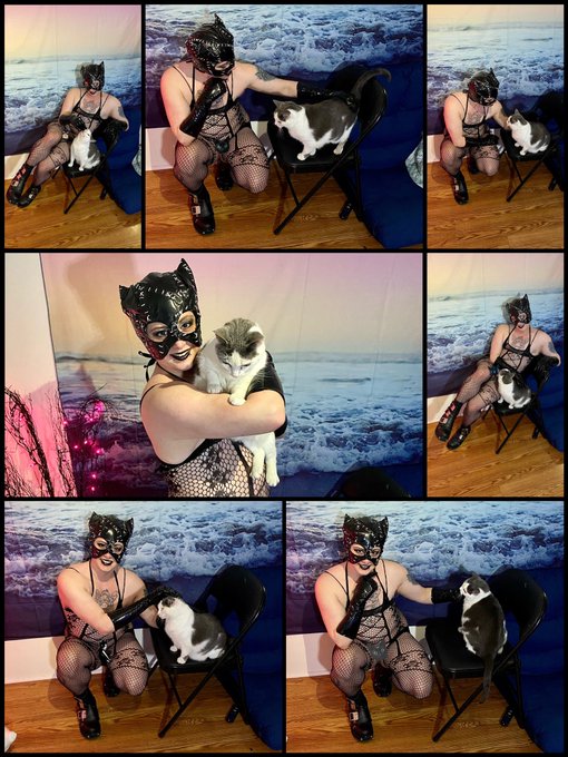 My favorite thing about photo shoots is getting interrupted by my kitties. Here&rsquo;s my princess photobombing<a href="/tag/mvsales"class="tags"><span>#mvsales</span></a>
