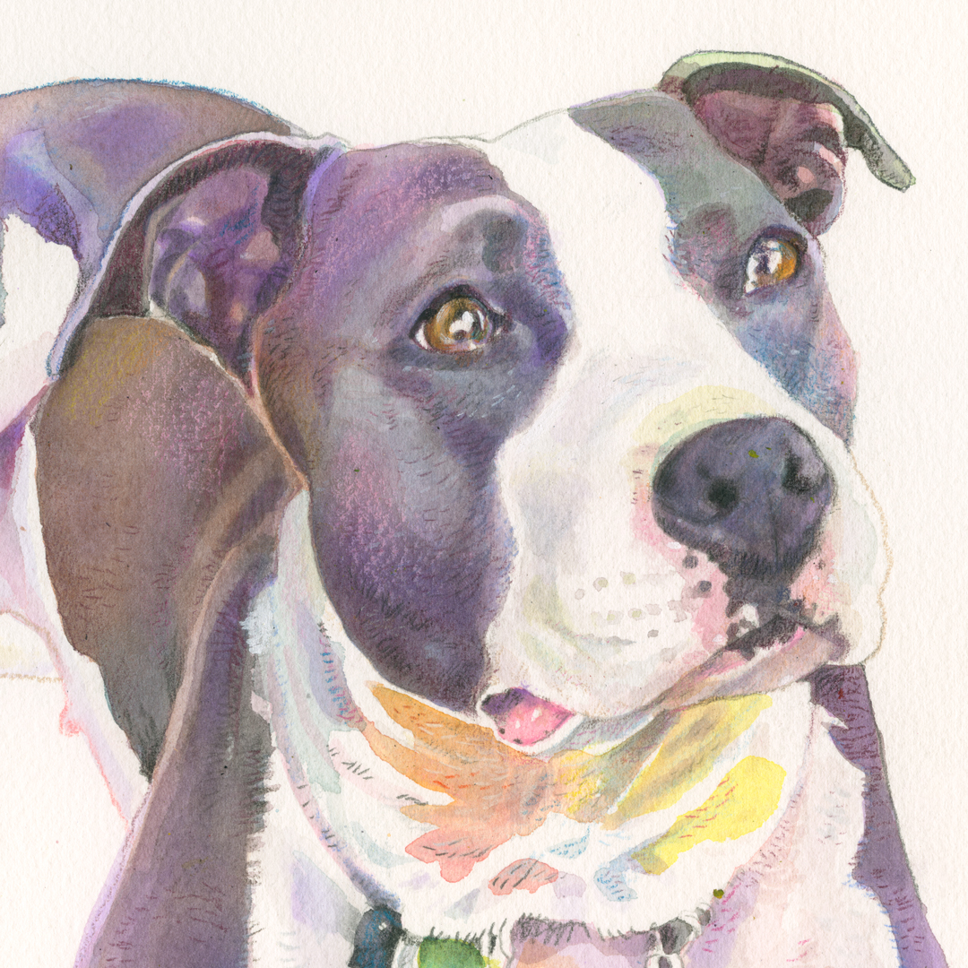 PositivelyDogSt's tweet photo. The holidays are coming! Do you know someone who has a best, best friend and and empty space on the wall?

https://t.co/YnnDtQIkTP

Watercolor pet portraits. #dogportrait #petportrait https://t.co/EELqIFChzD