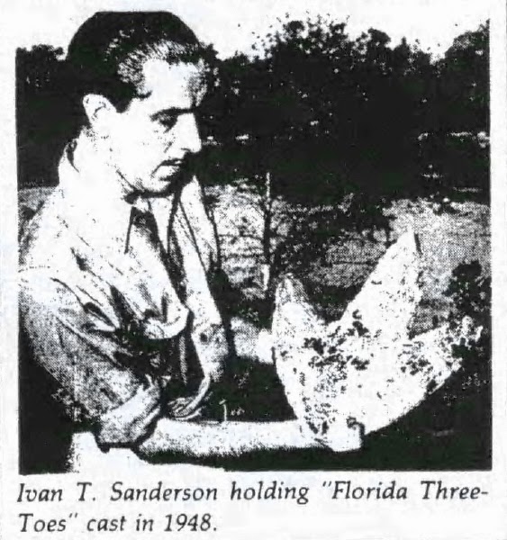 thisisloveshow's tweet photo. The Clearwater Monster's tracks first appeared in February 1948. And they just kept showing up. By late fall, the intrigue brought famed naturalist Ivan T. Sanderson to Florida for an investigation. His conclusion? A giant penguin had made the tracks. https://t.co/O6zgYFvD3J https://t.co/84McWJFw4k