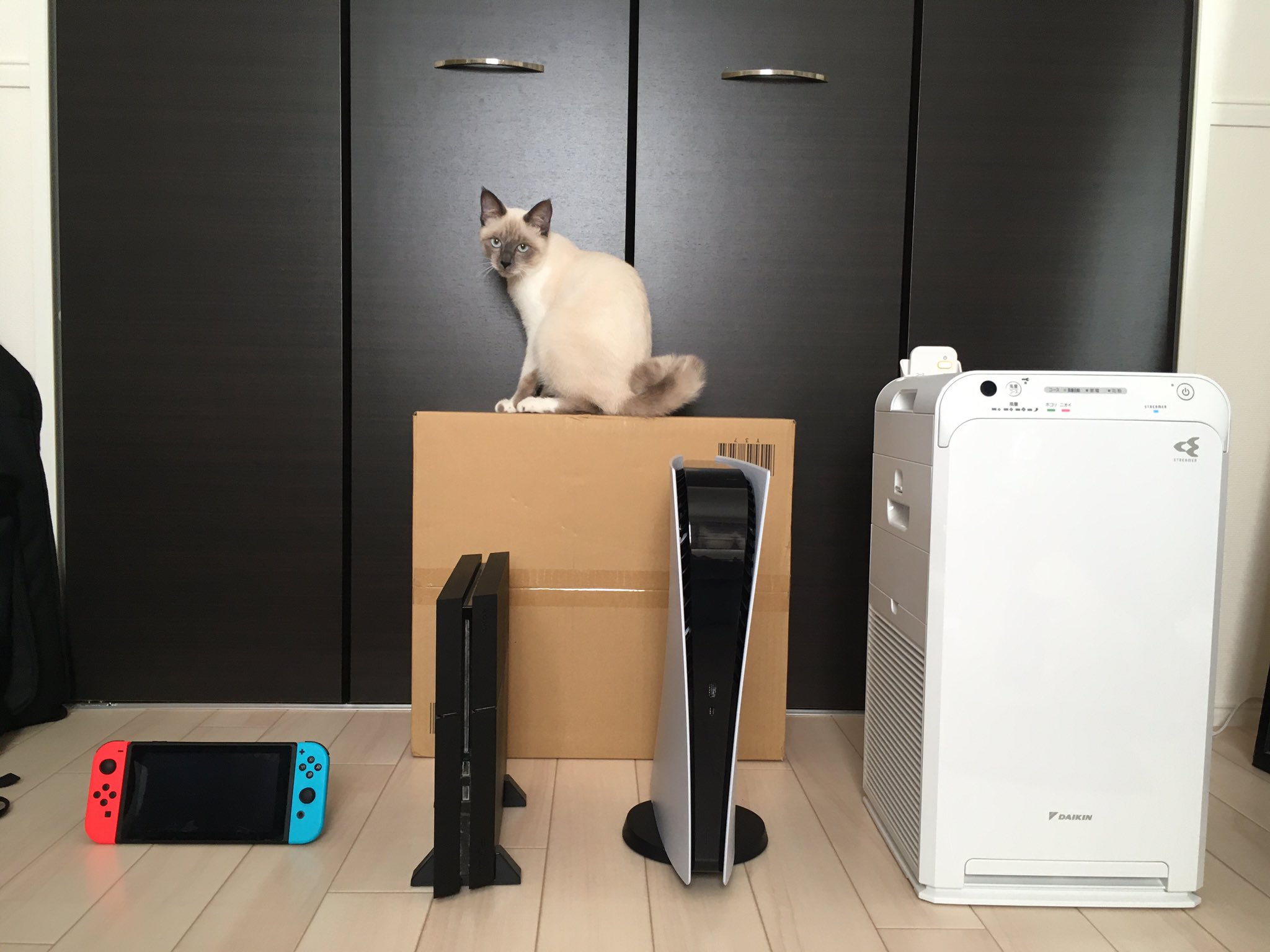 オーリー 大きさ比較 左から ニンテンドースイッチ Ps4 猫 Ps5 ダイキンの空気清浄機 うん Ps5デカい Ps5