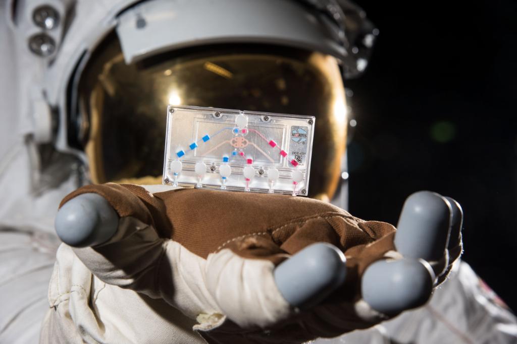 NASA's tweet photo. Farmer. Biologist. Pilot. Plumber. Test Subject. Astronauts do it all! Once four new crew members arrive at the @Space_Station on NASA's @SpaceX Crew-1 mission, they'll get right to work. Some @ISS_Research highlights for their 6-month stay: https://t.co/yBFtBnstO3 #LaunchAmerica https://t.co/somM6oQHT8