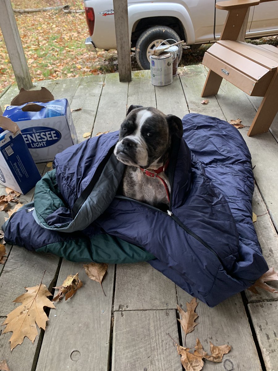 NSteblenko's tweet photo. Had to say goodbye to my boy Bauer today, so needless to say Iโm looking forward to some #positivity on #311StreamSystem tonight #Welcome #DoYouRight https://t.co/WV4DO2mMZH
