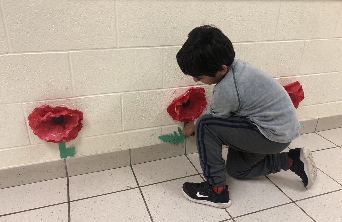 MsIkonomou's tweet photo. Planting poppies for Remembrance Day #lestweforget🌺 #remembranceday #poppies #iteachfirst #iteachsecond #grade1/2 #gradeone #grade1 #gradetwo #grade2 https://t.co/yG03fXk5Cw