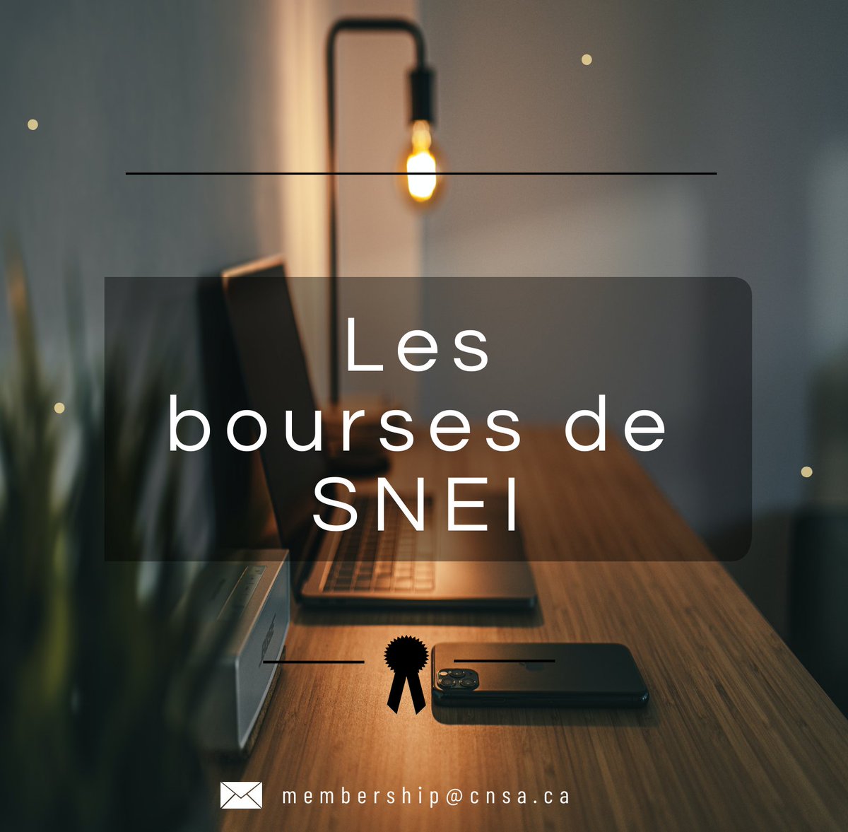 NNSW_SNEI's tweet photo. Did you know that there'll be a dozen awards for which you can apply during the week? #NNSW @CNSA_AEIC #Awards
 // 
Saviez-vous qu'il y aura une douzaine de prix auxquels vous pourrez postuler au cours de la semaine ? #SNEI #CNSA #Lesbourses https://t.co/83auVWtEoa