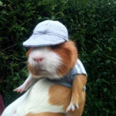 rabbitgorl's tweet photo. #NewProfilePic https://t.co/Mk2yQGjr2V