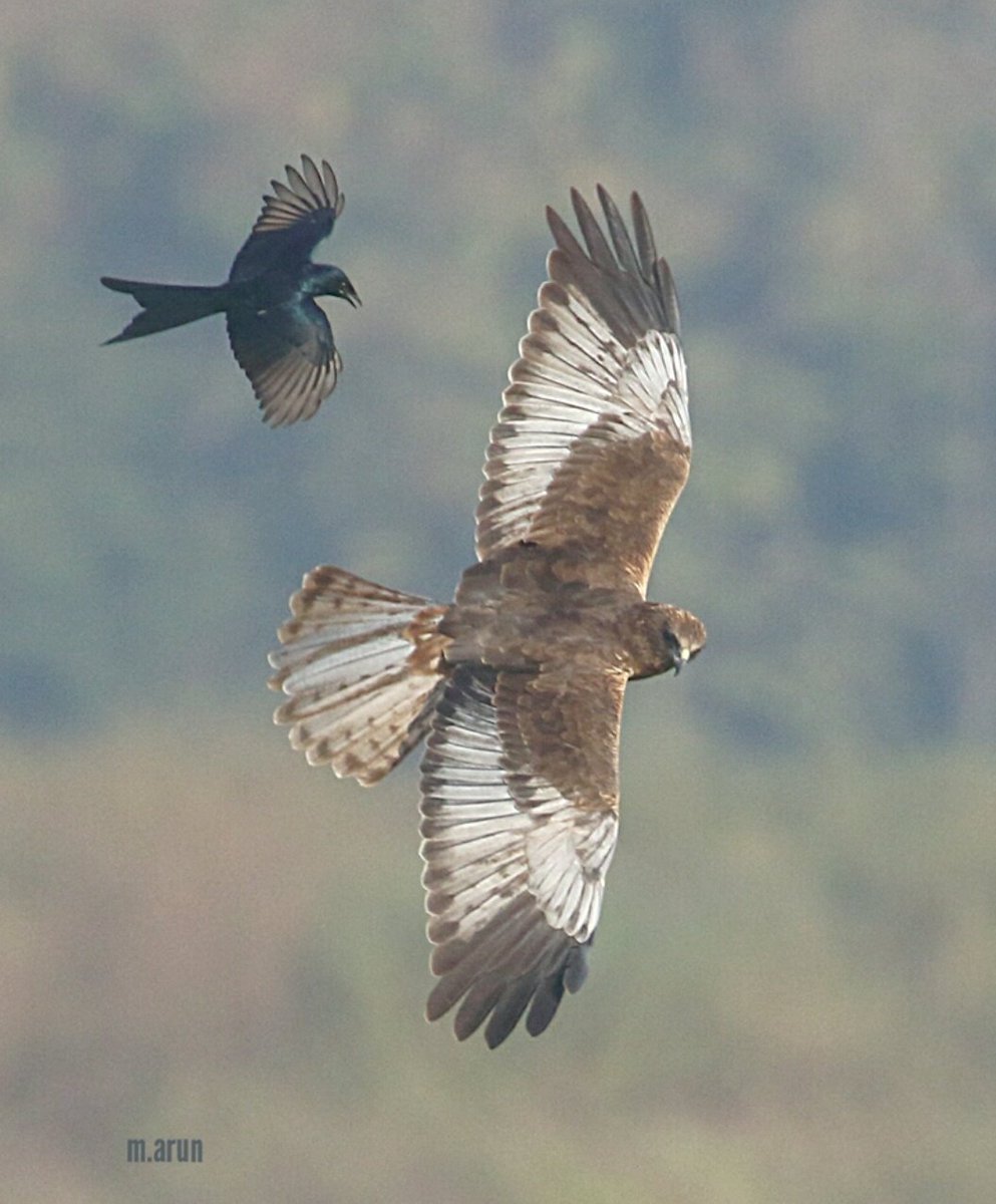 in0kt xfcnfc3m https twitter com hashtag e0 a4 a8 e0 a4 bf e0 a4 b8 e0 a4 b0 e0 a5 8d e0 a4 97