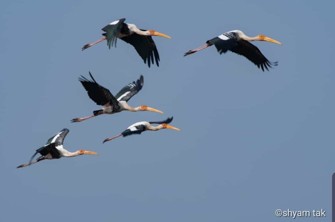 in0kt xfcnfc3m https twitter com hashtag e0 a4 a8 e0 a4 bf e0 a4 b8 e0 a4 b0 e0 a5 8d e0 a4 97