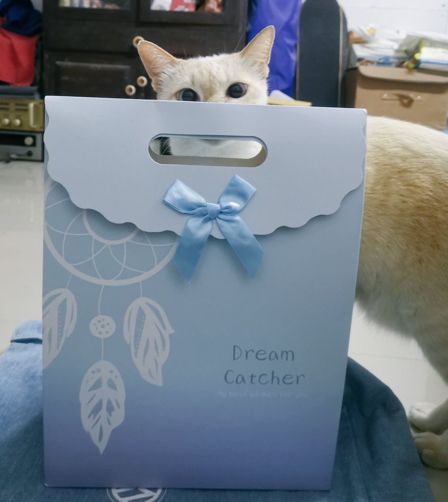 30) @gulfkanawut #Giftofgulf  #GulfKanawut  #ลูกบอลของคุณบิ๊กกลัฟ  #หวานใจมิวกลัฟ