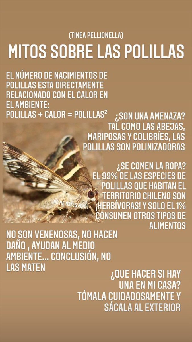 Ismenia37016685's tweet image. 