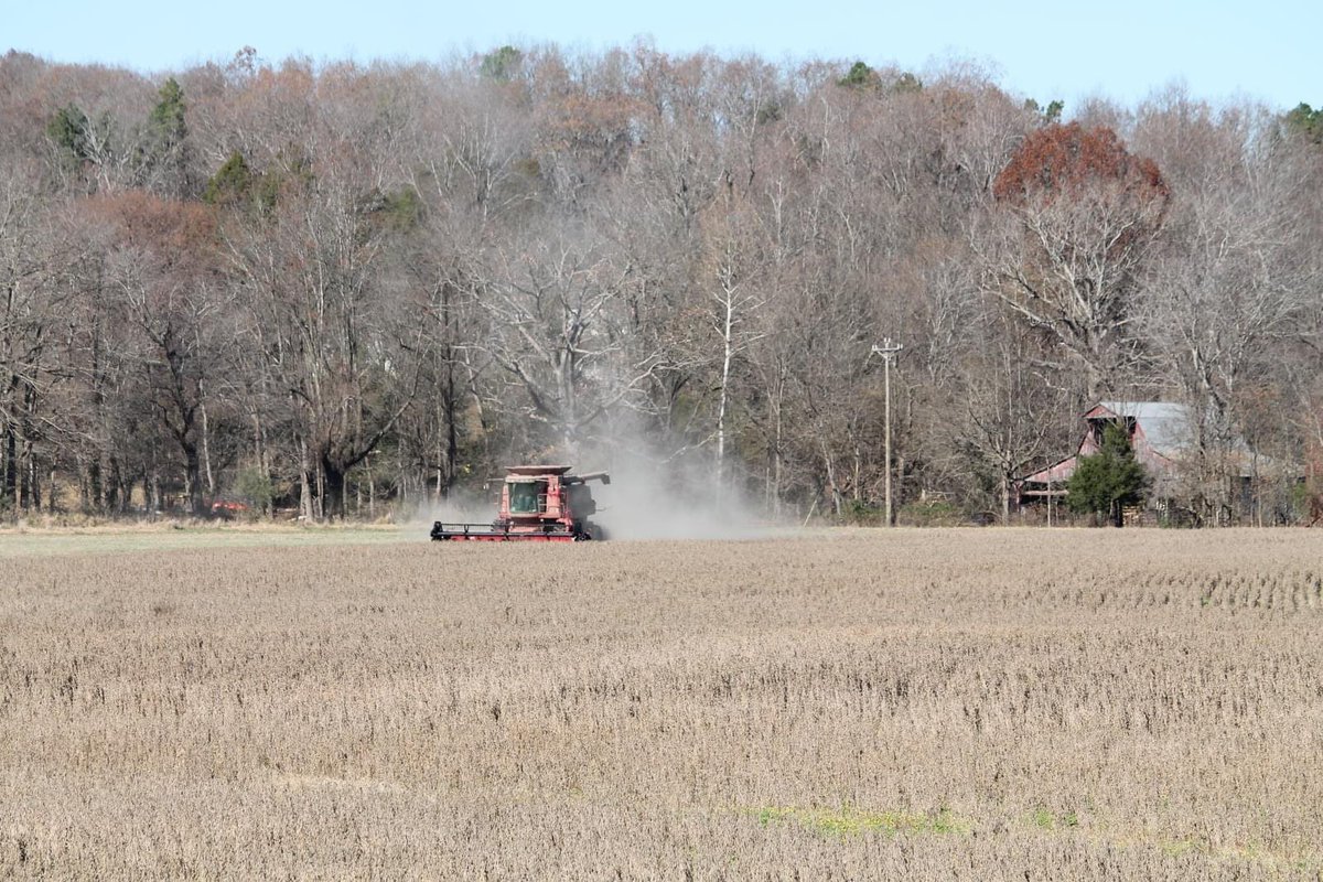 BeckyAdventure's tweet photo. Today, I had an extra ten minutes to go grab my camera and capture these farmers working at the edge of town.  We live in the most beautiful town, county, state, and nation!  #BoCoMo #FarmsMatter #MissouriFarm https://t.co/UbxSAPZBxa