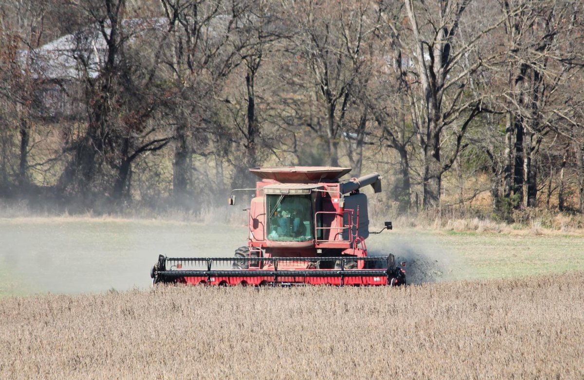 BeckyAdventure's tweet photo. Today, I had an extra ten minutes to go grab my camera and capture these farmers working at the edge of town.  We live in the most beautiful town, county, state, and nation!  #BoCoMo #FarmsMatter #MissouriFarm https://t.co/UbxSAPZBxa