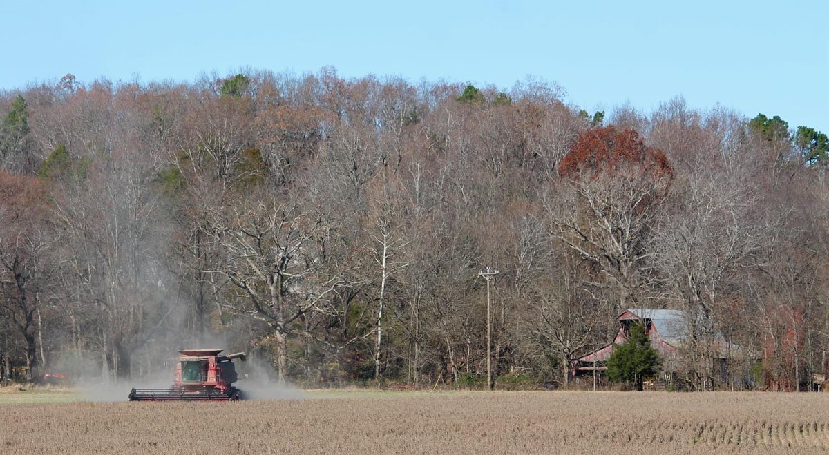 BeckyAdventure's tweet photo. Today, I had an extra ten minutes to go grab my camera and capture these farmers working at the edge of town.  We live in the most beautiful town, county, state, and nation!  #BoCoMo #FarmsMatter #MissouriFarm https://t.co/UbxSAPZBxa
