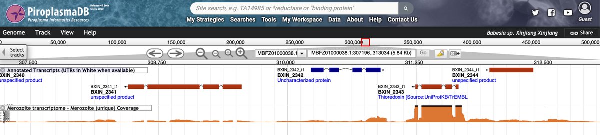 veupathdb's tweet image. In release 49 or #PiroplasmaDB data from Guan et. al. 
• Genome sequence and annotation of Babesia sp. Xinjiang strain Xinjiang: veupathdb.org/a/app/record/d…
• Merozoite transcriptome for Babesia sp. Xinjiang strain Xinjiang: veupathdb.org/a/app/record/d…