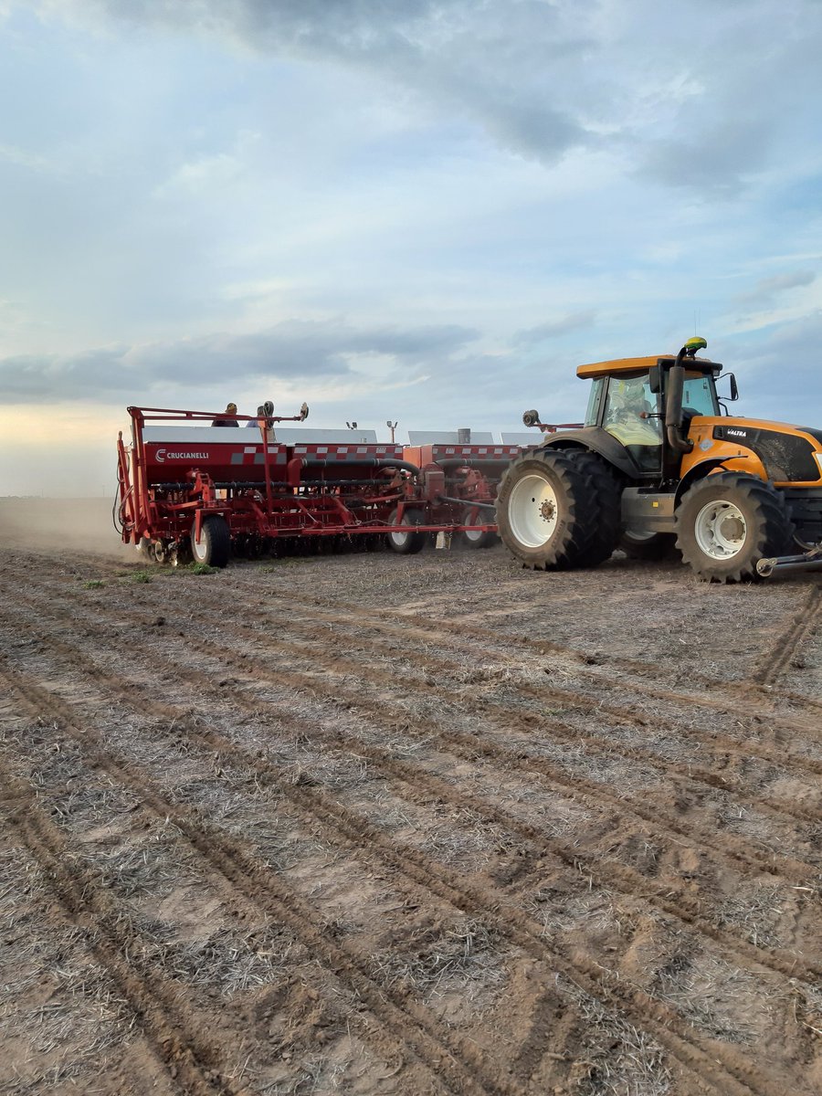 aylenpomares's tweet photo. Día de siembra!! #ensayos #intacta 💪🌱 
@Bayer4Crops 
@INTACTARR2PROAR https://t.co/gKLAeR3SK7