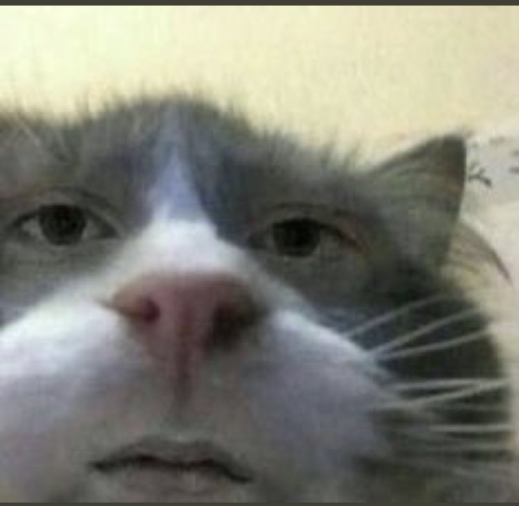 hubermarjorie2's tweet photo. Quand j’ai remarqué que c’était YouTube le problème et pas ma connexion au bout de 15 redémarrage ��#YouTubeDOWN #YouTube #bugyoutube https://t.co/OjIizgvtAf