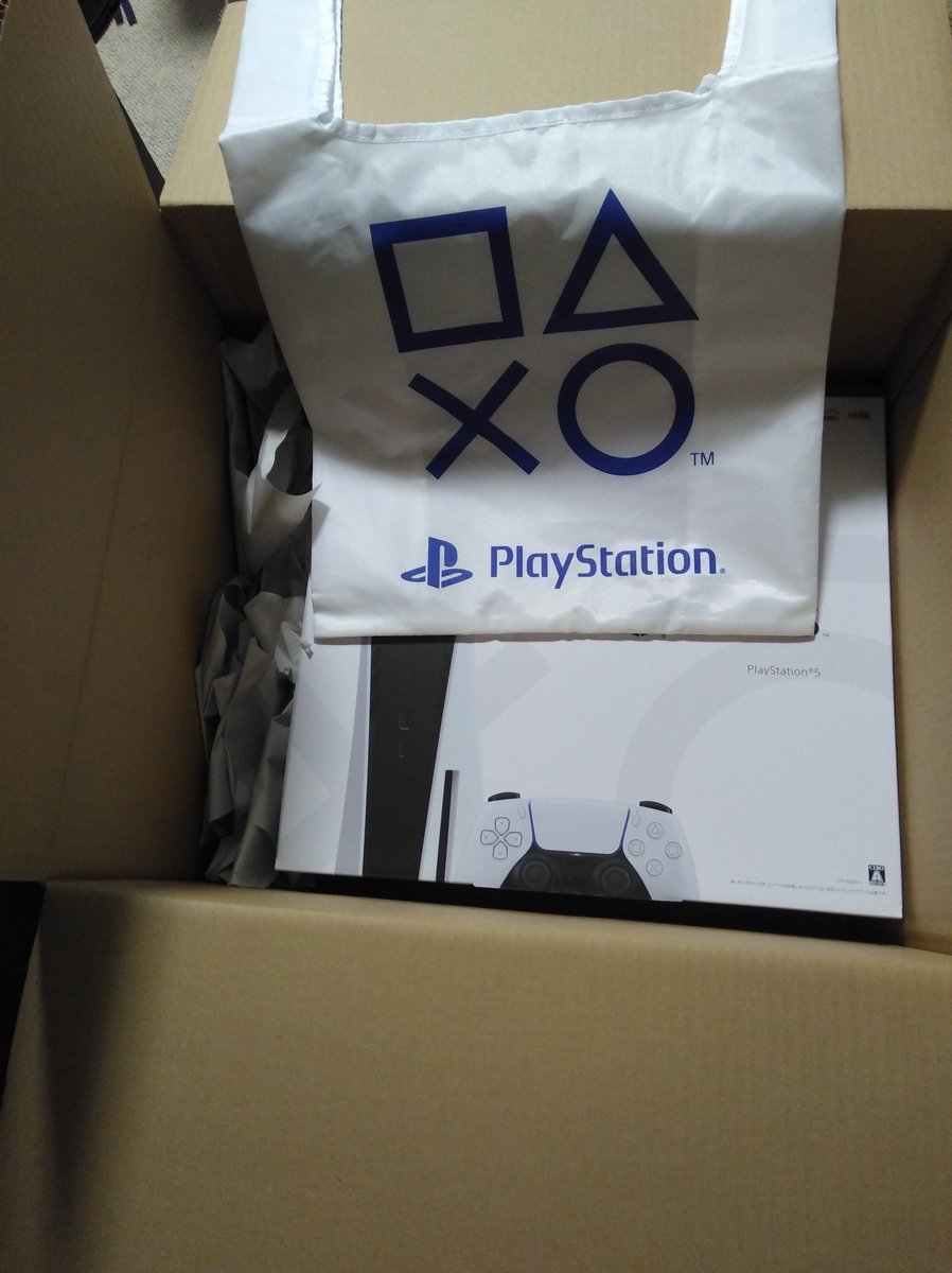 シュン Ps5届いた Amazonのおまけのエコバッグはこんな感じ