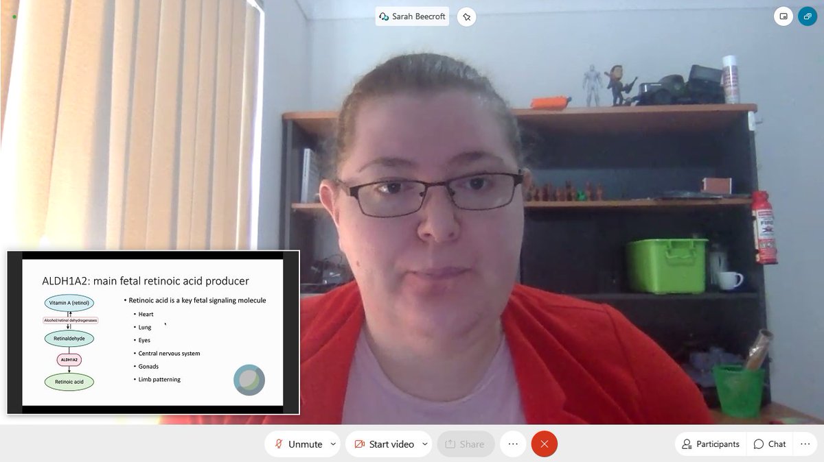 GaffJessica's tweet photo. A great presentation about pathogenic variants associated with a novel developmental syndrome by @sarah_beecroft at Day 2 of the 2020 @TheASMR1 WA Virtual Symposium #ASMRMRW2020 #womeninSTEM https://t.co/arSNKYUwYr