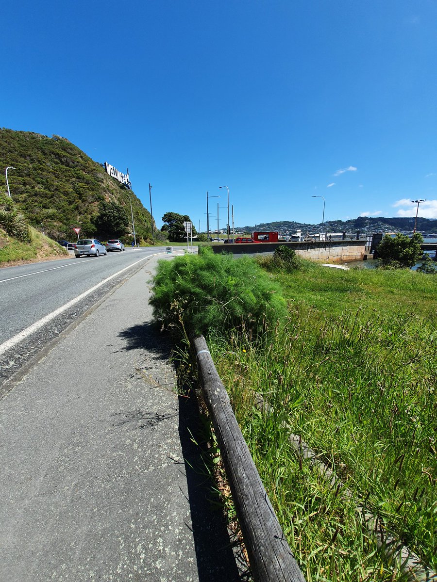 Miramar NZ tweet media