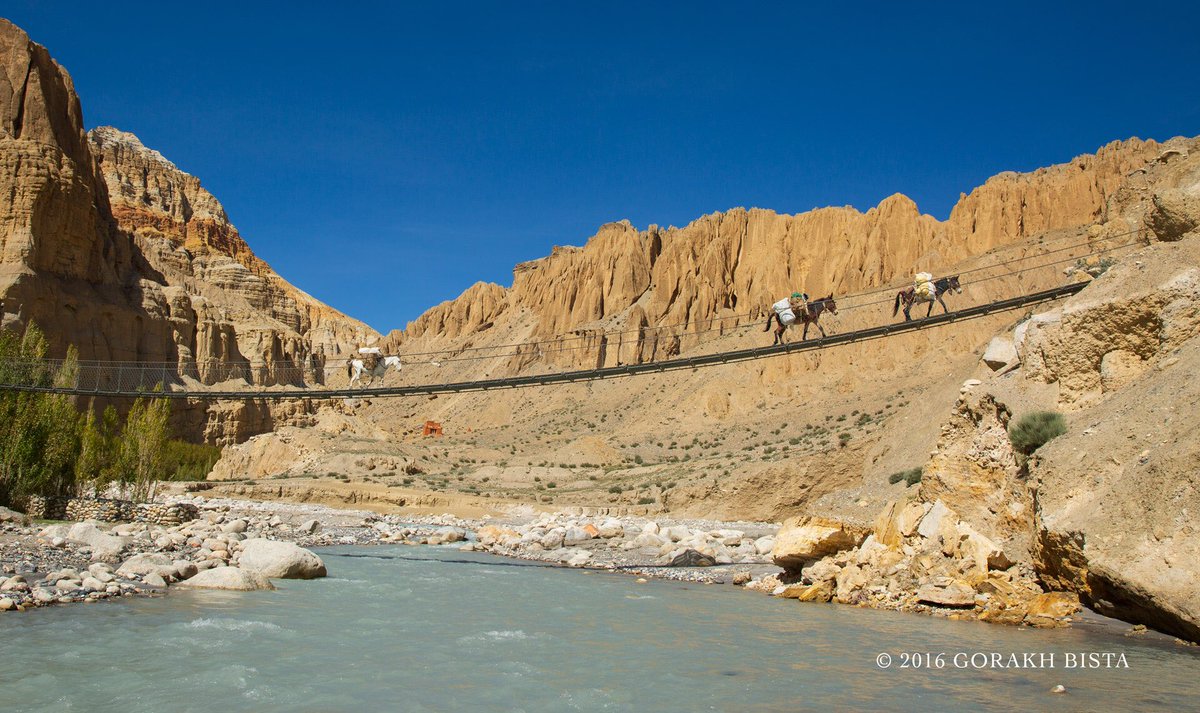 Gorakhbista's tweet photo. दामोदर कुन्डबाट फर्केको पनि ५ बर्ष भएछ ।
#fiveyearsback #mustang https://t.co/rqelnHlB6k