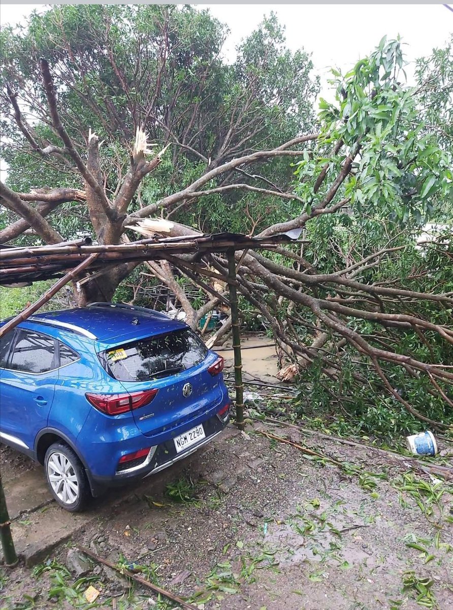 LambitEds's tweet photo. Cousin's car was spared from #UlyssesPh 's wrath! 🙏🏼😊 https://t.co/JSodpR1YhG