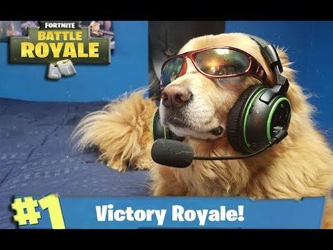 HIBERN1A's tweet photo. @wydawill after winning a pub game https://t.co/bHmbYFu7Ut