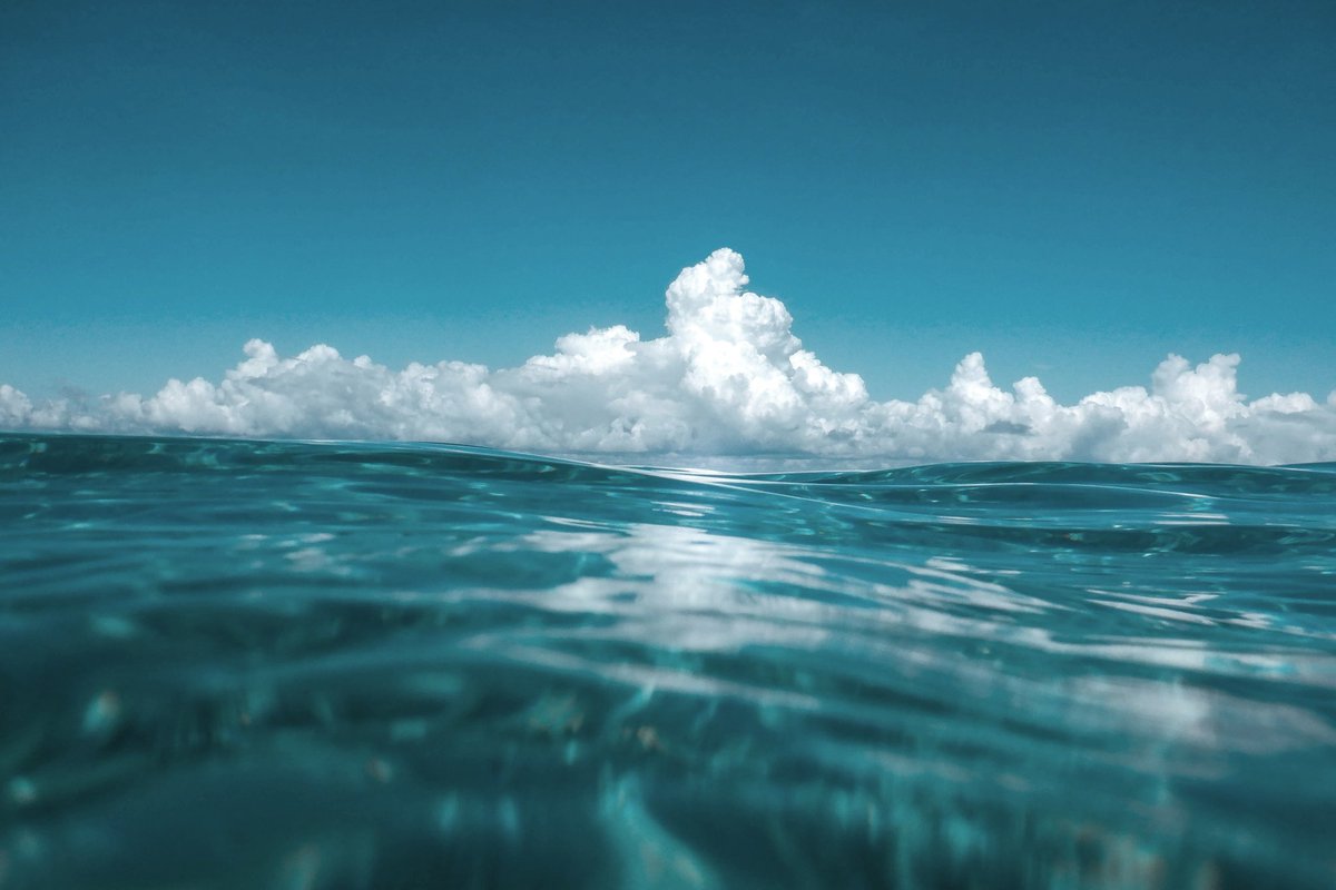 🌴#cozumel #mexico #ocean #sea #island #reef #rivieramaya #caribbean #underwaterphotography #underwaterworld #blue #apnea #freediving #mexigers #wanderlust #quintanaroo #caribe #instagram#nature #naturelovers #nature_perfection #deep #onebreath