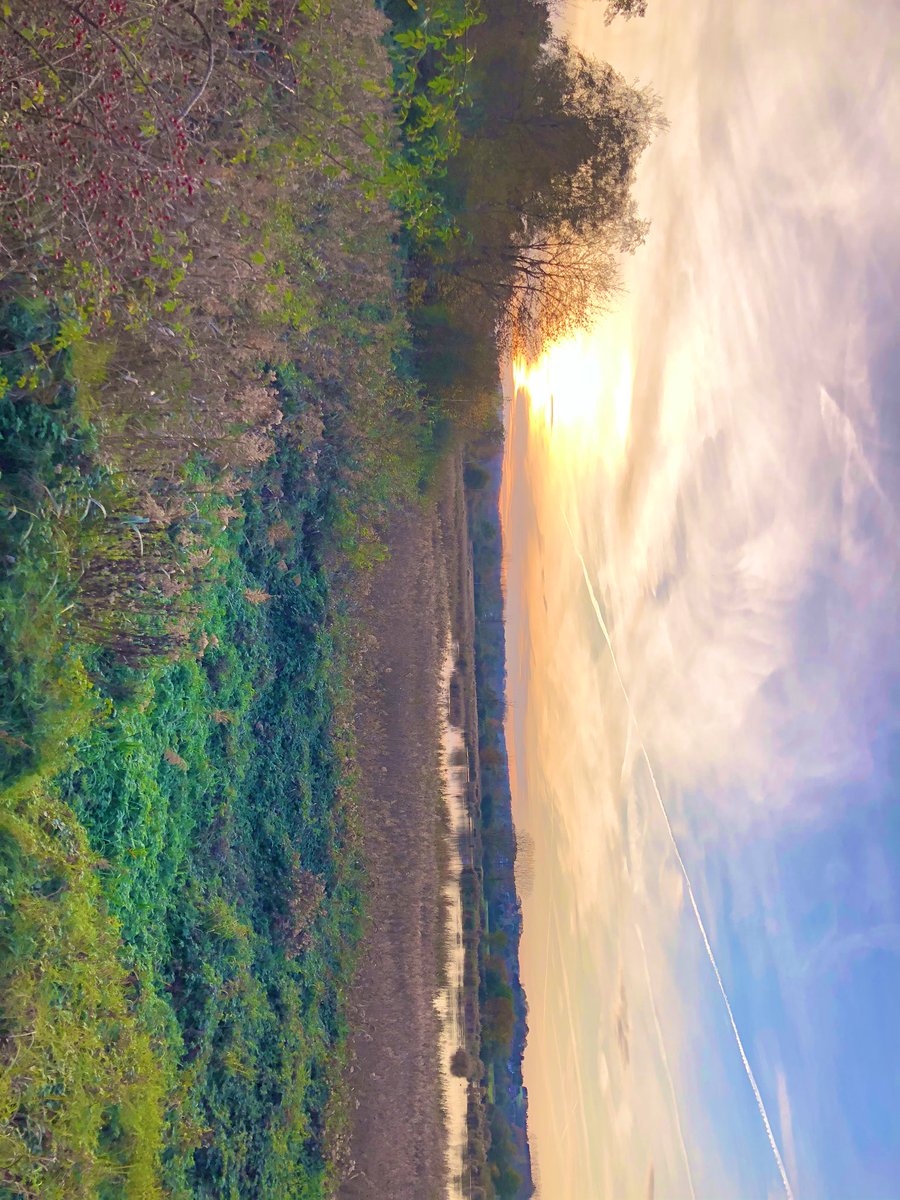 ChunhuiHe's tweet photo. https://t.co/rrl1NIoBvi