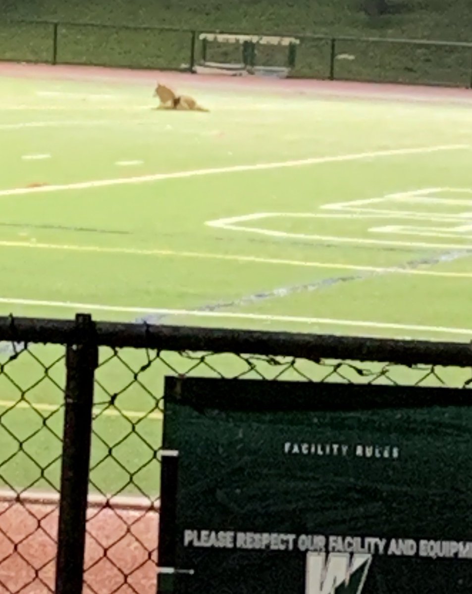 Erin Sonn tweet media