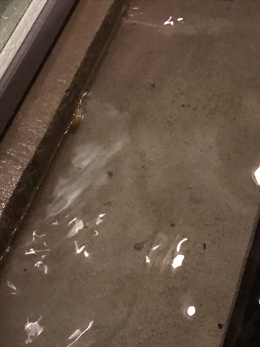 Michael Paluska tweet media