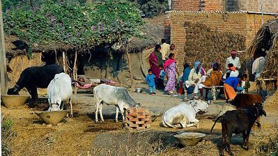 MSDNCNews's tweet photo. #BREAKING:

Pakistani Villagers Excited to be Droned by First Vice President with Pronouns in Bio. https://t.co/FeYEXd8F1n