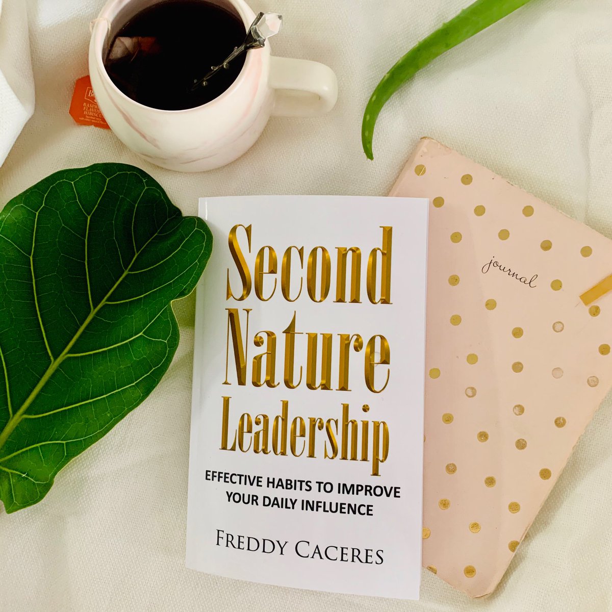 Second Nature Leadership is available on Amazon and suggested to all lifelong learners. #leadership #book