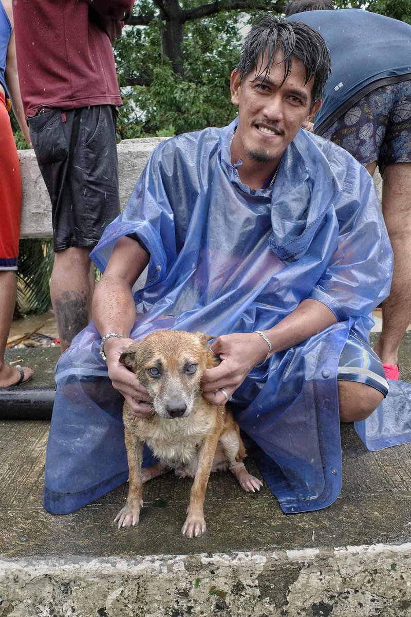 the dog that was stuck on the roof, rambo, has been rescued 🥺❤️ #UlyssesPh