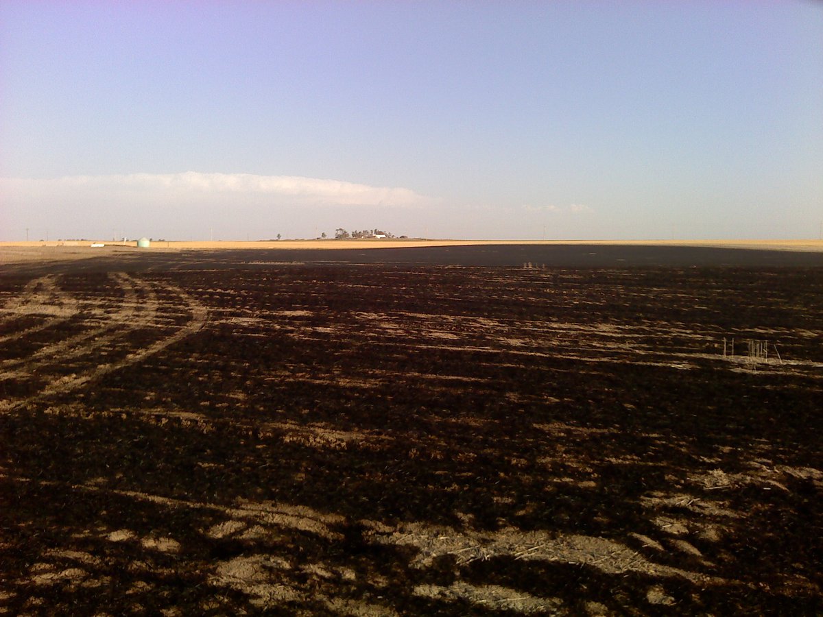 1 like = one picture of a bad farm thing