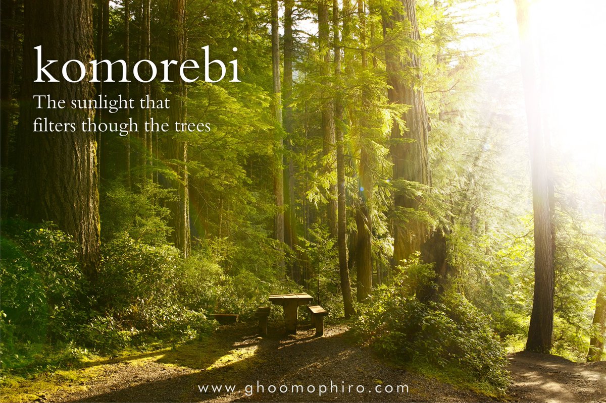 ghoomophiro's tweet photo. Creating a pleasant ambience for a walk through the woods and generating a feeling of awe....
#ghoomophiro #incredibleindia #japaneseterm #distinctphenomenon #scatteredlight #dappledlight https://t.co/sNKlT4Vjmd