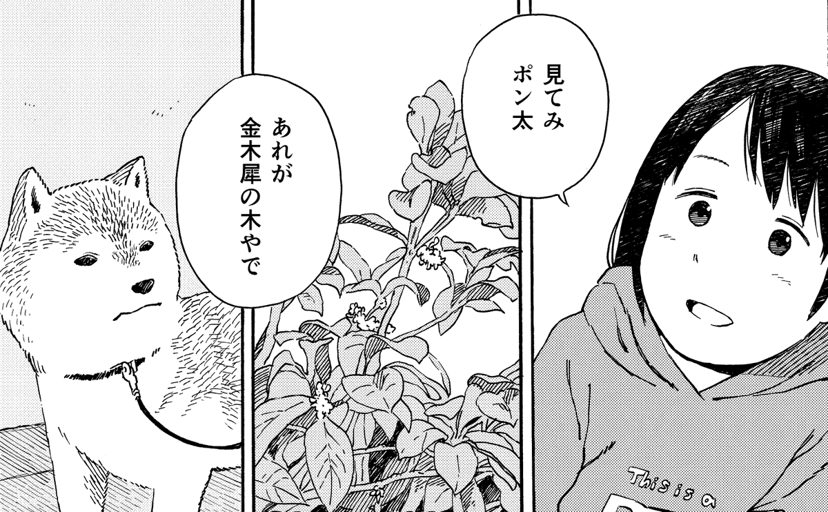 本日ゲッサン発売日です!
「今日のさんぽんた」「スクール×ツクール」載ってます! 