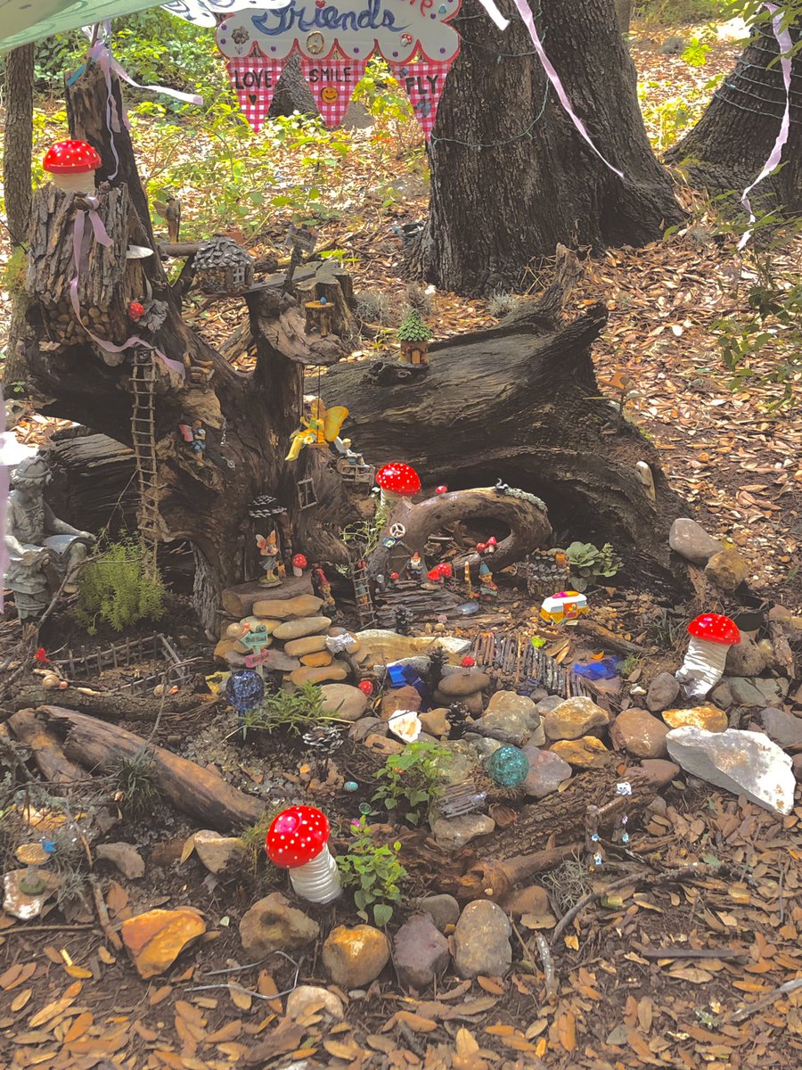 pepparoncini's tweet photo. throwback to when I visited a faerie trail 🧚‍♀️✨ https://t.co/NV626gVotH