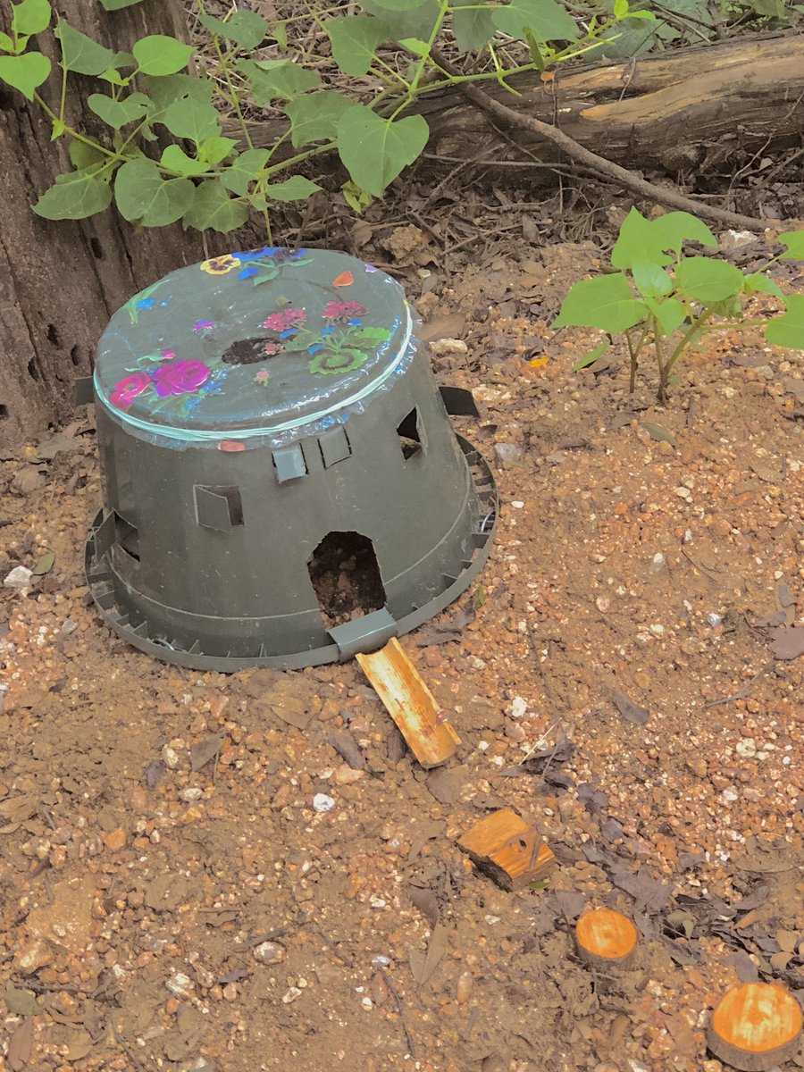 pepparoncini's tweet photo. throwback to when I visited a faerie trail 🧚‍♀️✨ https://t.co/NV626gVotH