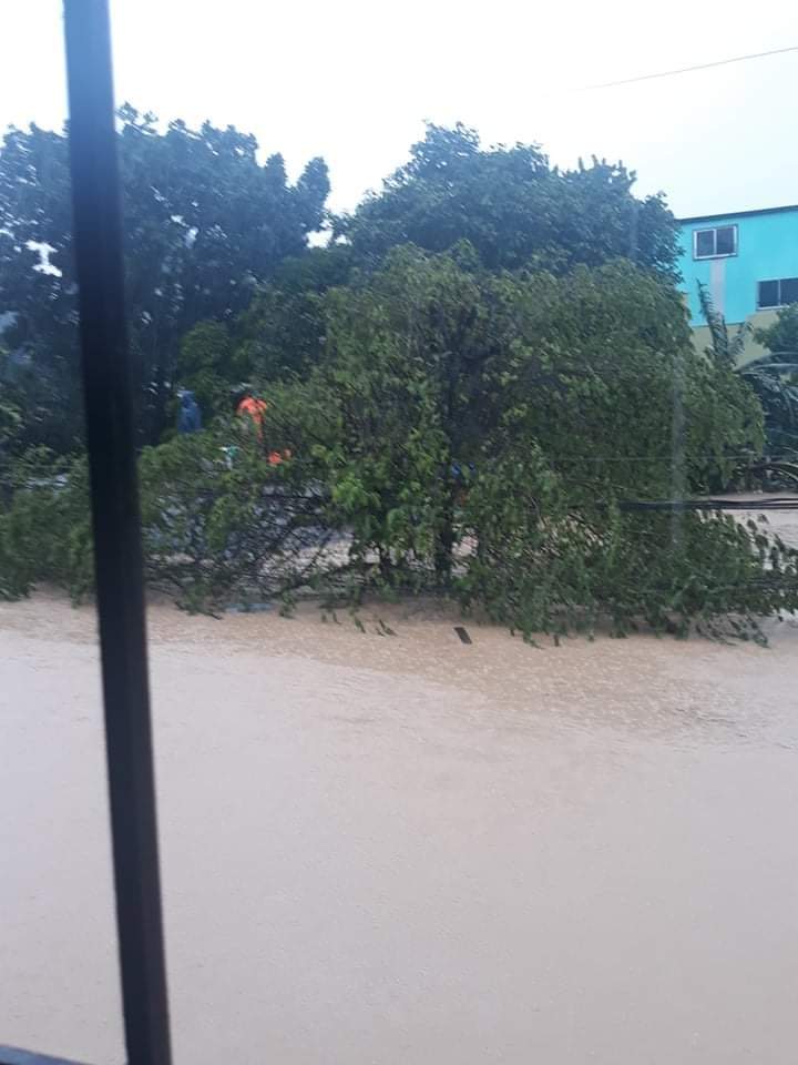 DoNation_2020's tweet photo. IF YOU SEE THIS POST PLS SHARE 
‼️ SEND HELP ‼️
11c cattleya st corner milflores twinville sub concepcion uno marikina
1 Female 52 years old Ma Cresencia Pilapil
1 Female 72 years old Alicia Sayong
pls help 09560747315/09222935476/09979137550 lagpas tao na po please rescue ASAP https://t.co/zfKSVYfG15