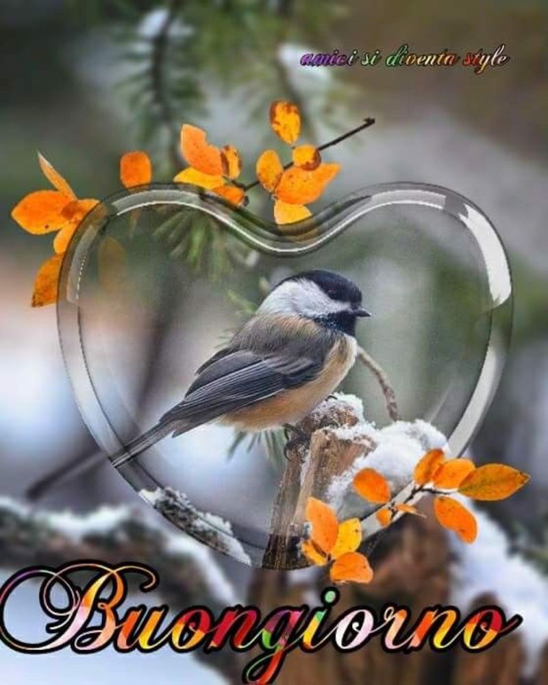 Buongiorno carissima Marina, quante olive!! Un sereno giovedì e un grande  abbraccio. 🌹😘☕🤗❤, image size:800x1000