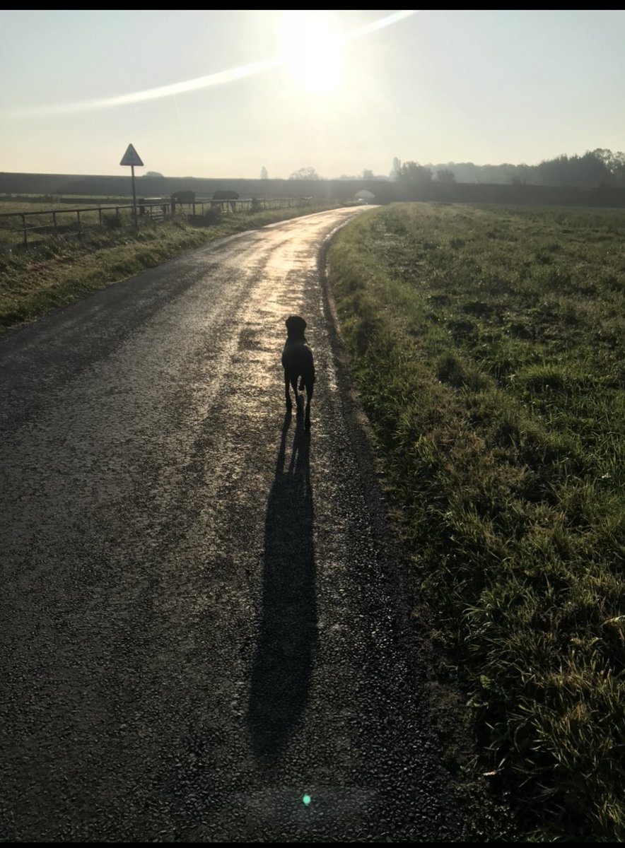 ChrisKirkland43's tweet image. Morning everyone exercise and talking the 2 best things for helping yours snd other peoples #mentalhealth @walkingsbrill @FutureProofSC @YapaApp @LFCFoundation @Colne_FC