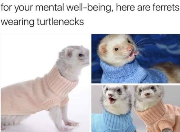 @DearMrAtheist ❤ https://t.co/pVWDtAodn1<a class="tags" target="_blank" title="On Twitter" href="/?out=eyJ0eXAiOiJKV1QiLCJhbGciOiJIUzUxMiJ9.eyJpYXQiOjE3MjU3MzI3OTksImlzcyI6InR3cG9ybnN0YXJzLmNvbSIsIm5iZiI6MTcyNTczMjc5OSwiZXhwIjoxNzU3MjY4Nzk5LCJyZWRpcmVjdF91cmwiOiJodHRwczovL3R3aXR0ZXIuY29tL0RlYXJNckF0aGVpc3QifQ.ppZIZJC6cbEOhaAR7MA0ygAjA0MFedW3fGDHlTkisi6FNEVrOjn57Rr1tWXbxTCEmGkm12SrWlkjXIPiCbgg-A">@DearMrAtheist</a><a href="/tag/cosplay"class="tags"><span>#cosplay</span></a><a href="/tag/photoset"class="tags"><span>#photoset</span></a><a href="/tag/cosplaygirl"class="tags"><span>#cosplaygirl</span></a><a href="/tag/fairytail"class="tags"><span>#fairytail</span></a><a href="/tag/lucyheartfilia"class="tags"><span>#lucyheartfilia</span></a>