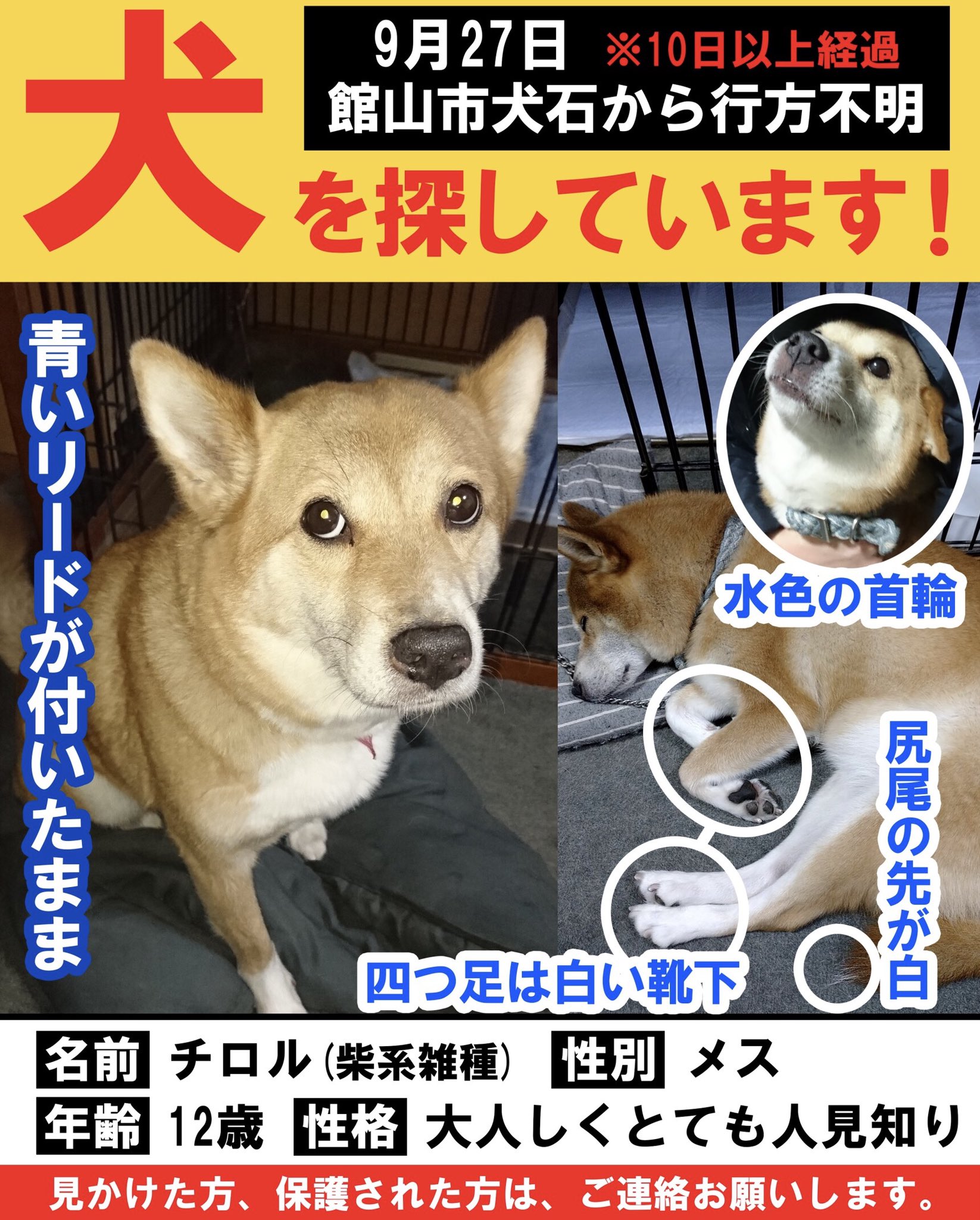 Kama Kama Kouji Koji Kamakou0628 Twitter