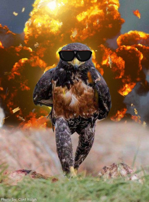 Someone take my phone away. https://t.co/ATg7dpslWG