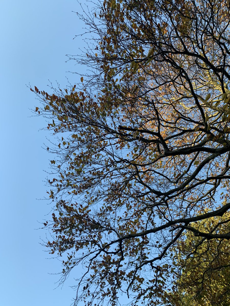 Marketing_Forum's tweet photo. Good morning from T̶h̶e̶ ̶G̶r̶o̶v̶e̶ your home office, for day 2 of The Richmond Virtual Marketing Forum. #RMF20 #VirtualEvents https://t.co/EvU75xIn4z