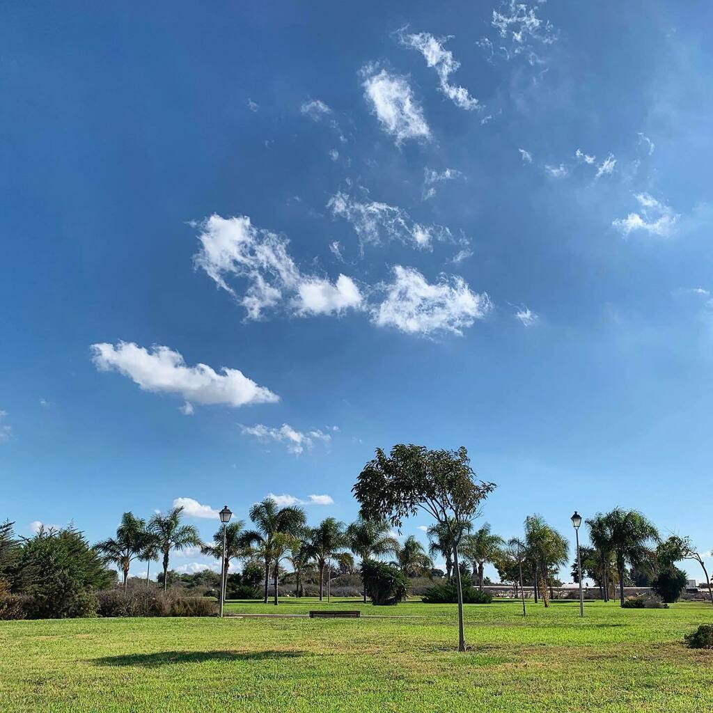 Franixu's tweet photo. #project366 #p366 #Instagramp366 #ThePicOfTheDay #InstaPic #day #sky #outdoors #scene #blue #nature #landscape #green #scenics #sunlight #clouds #park https://t.co/AZuAyEirgD https://t.co/JRqDf1Md9w