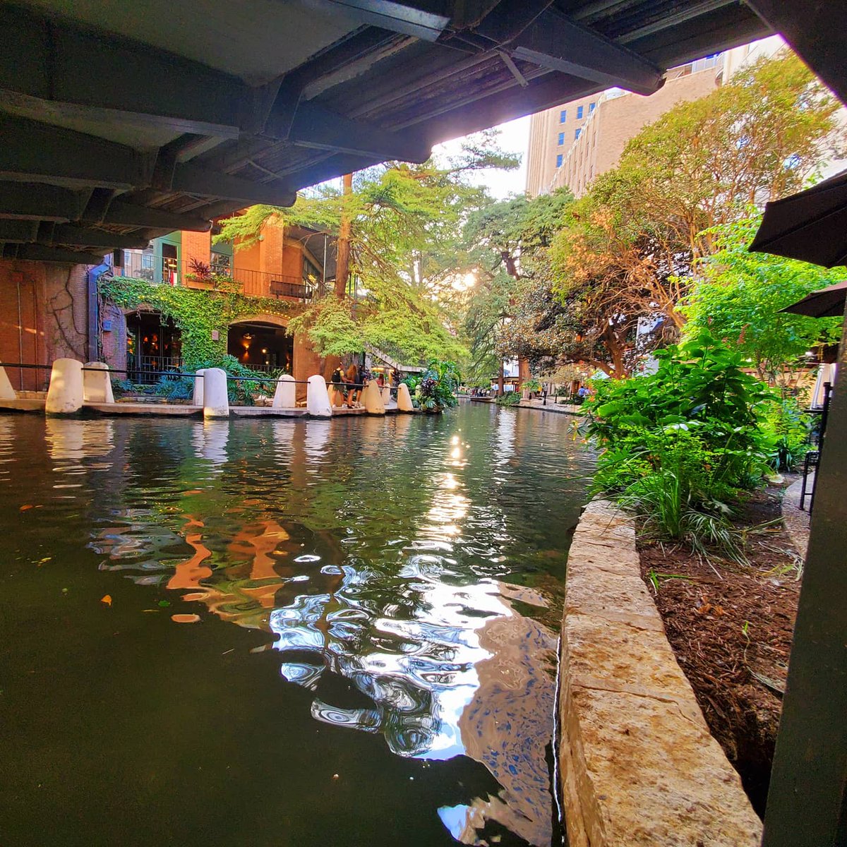 AngelowPromo's tweet photo. De visita en San Antonio , Texas
#SanAntonio #texas #riverwalk #travelphotography #Angelow #deLaredo https://t.co/ARRgRPhMeY
