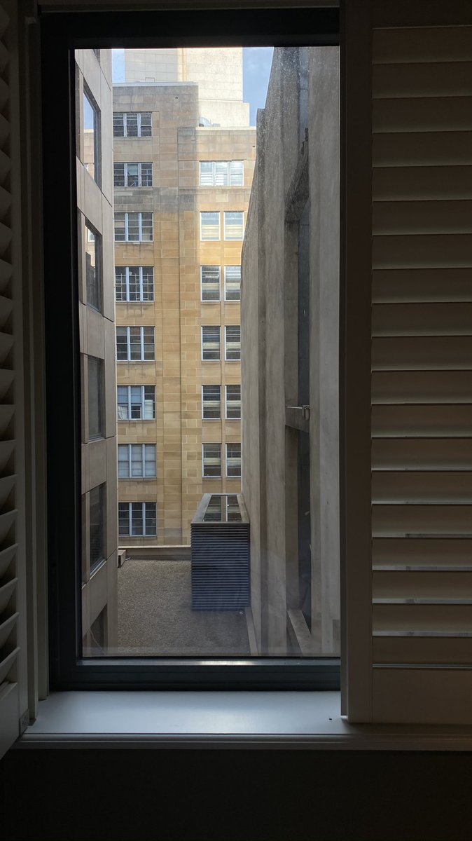 noelle faulkner tweet media